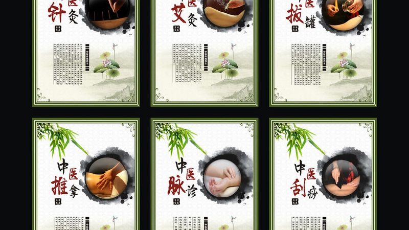 家用艾灸针灸仪器哪个牌子好